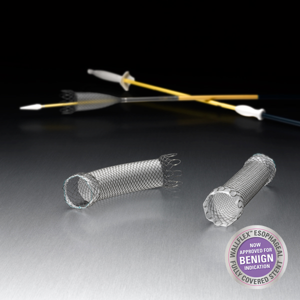 Wallflex Esophageal Stents Boston Scientific